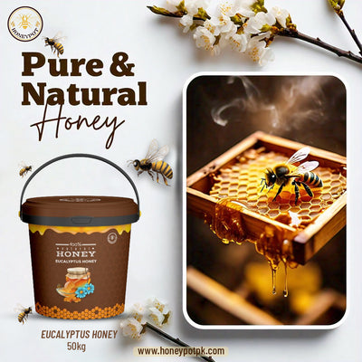 Experience the Healing Power of Honeypot Eucalyptus Honey: Nature’s Wellness Honey 🍯🌿